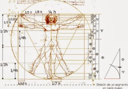 El hombre de Vitrubio, de Leonardo Da Vinci.